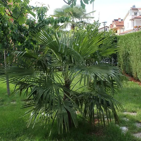 With A Parking Space - 7735 Umag