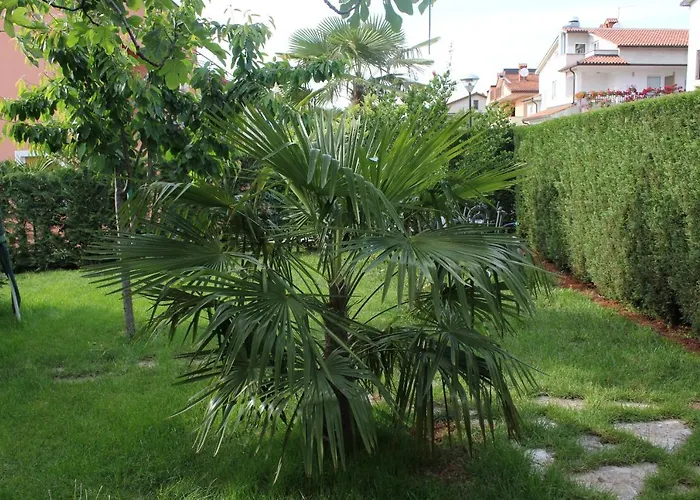 With A Parking Space - 7735 Umag