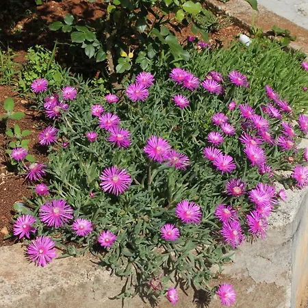 With A Parking Space - 7735 *