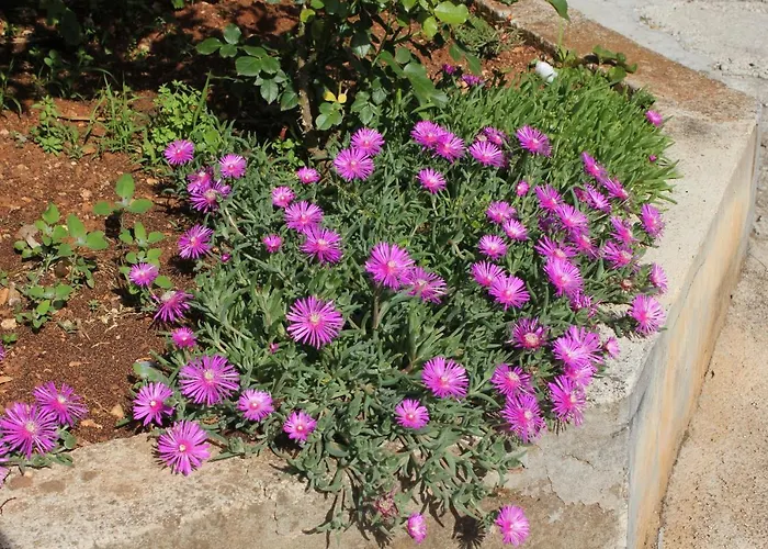 With A Parking Space - 7735 *